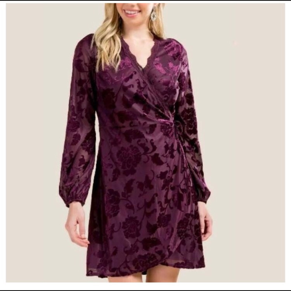 Francesca’s Long Sleeve Tie Dress